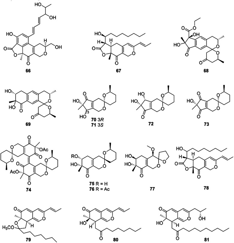 Fig. 5