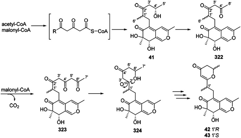 Scheme 16