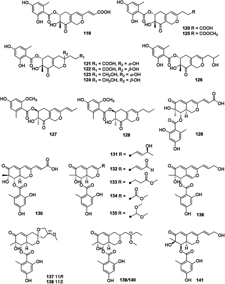 Fig. 8