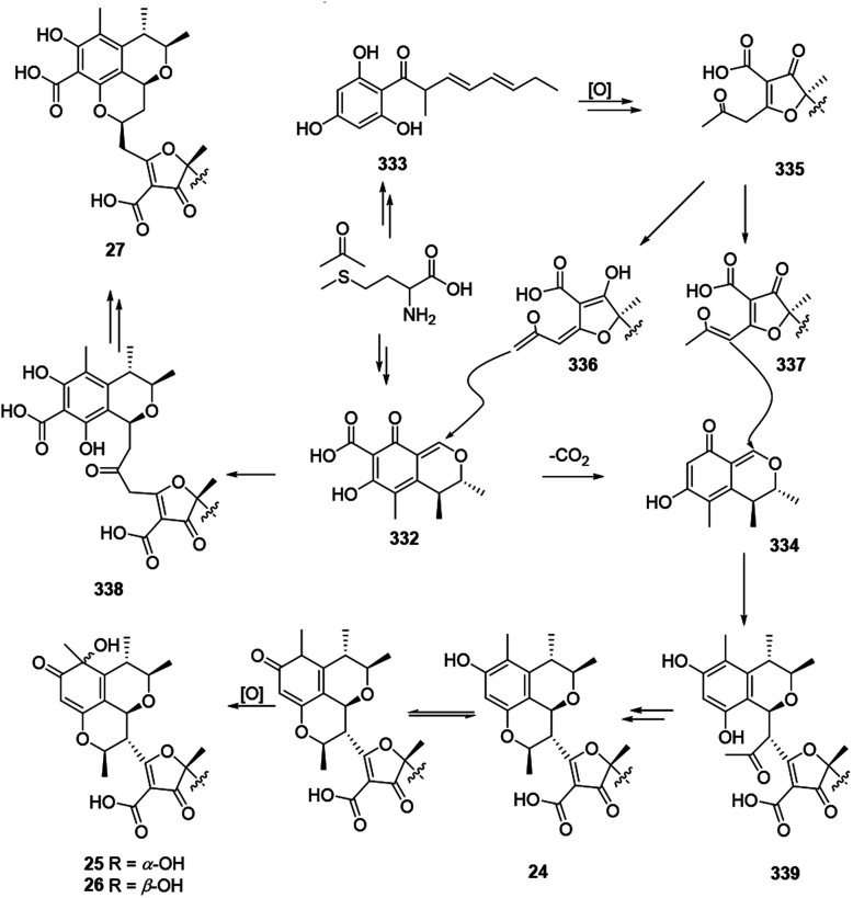 Scheme 20