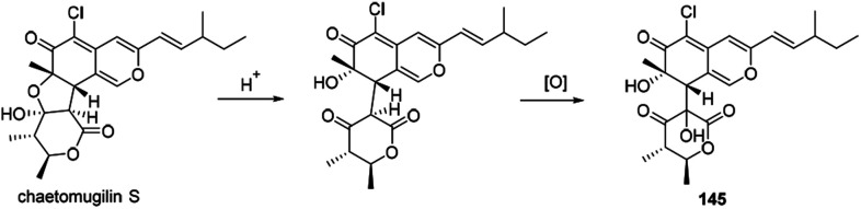 Scheme 10