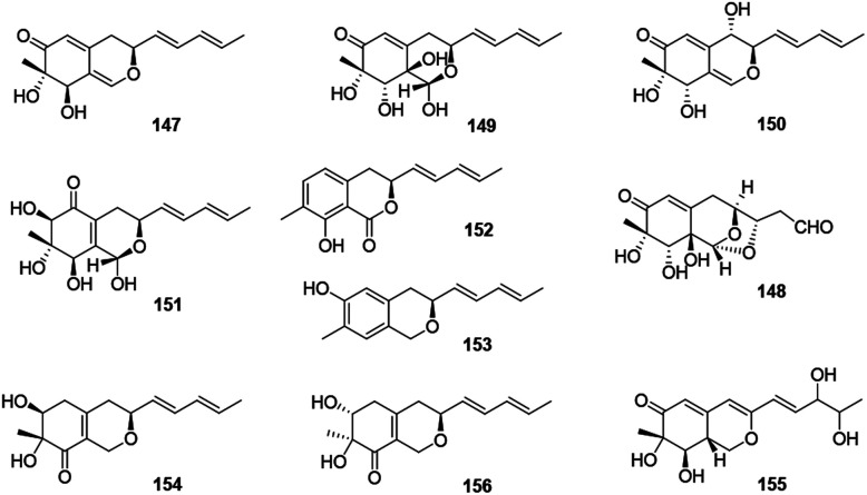 Fig. 10