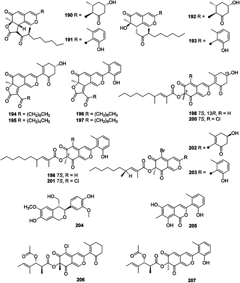 Fig. 12