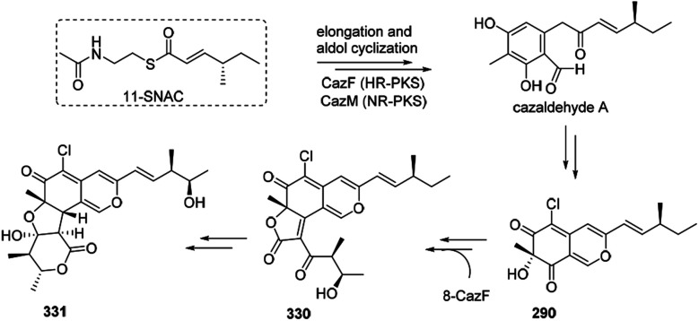 Scheme 19