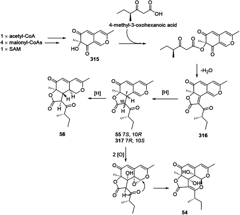 Scheme 13