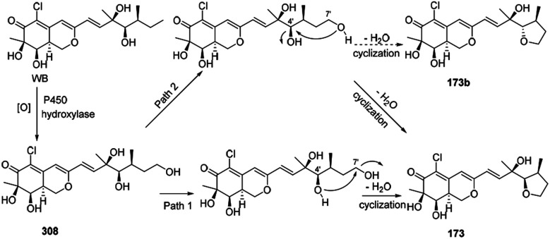 Scheme 9