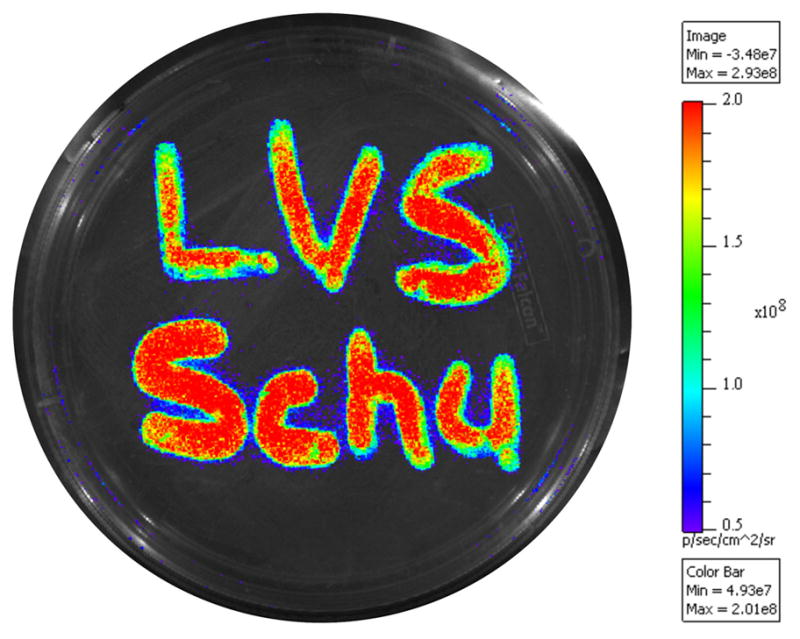 Fig. 2