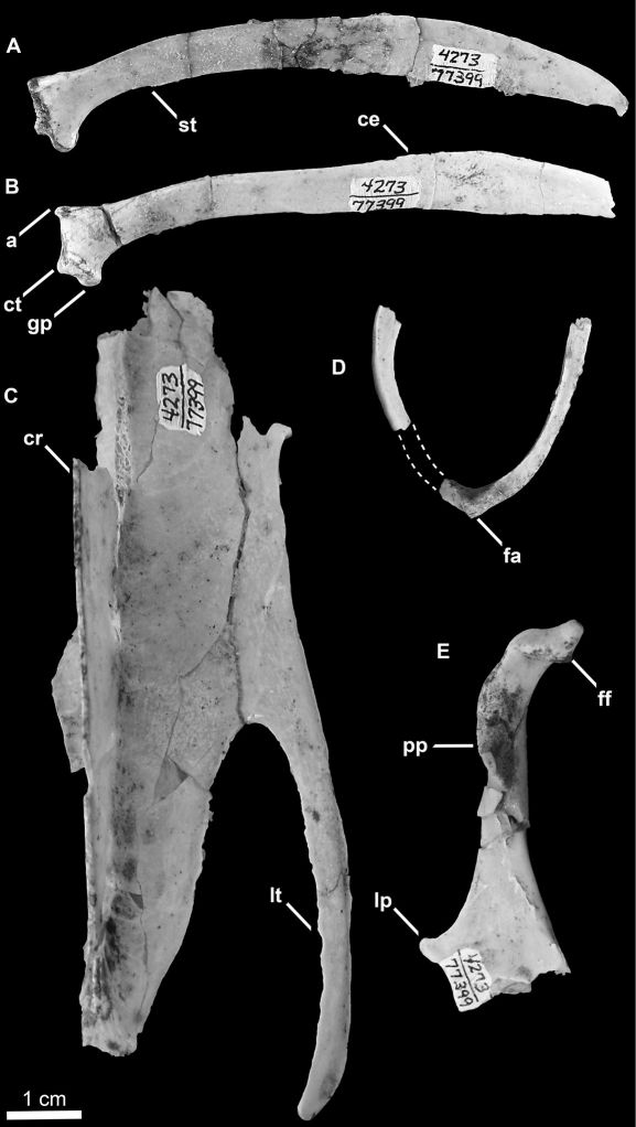 Figure 8.