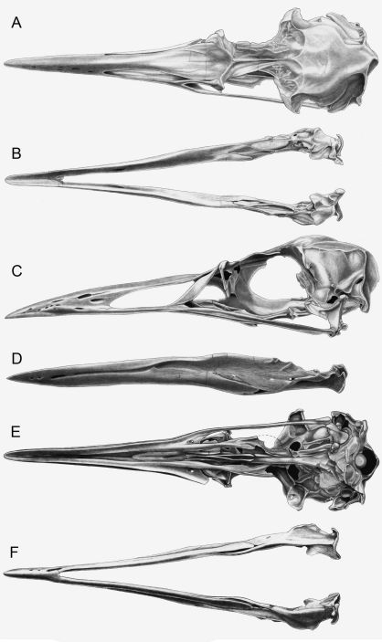 Figure 13.