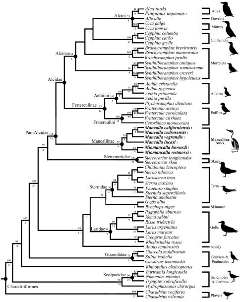 Figure 15.