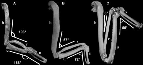 Figure 16.