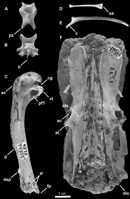 Figure 7.