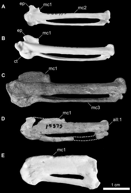 Figure 17.