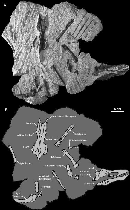 Figure 10.