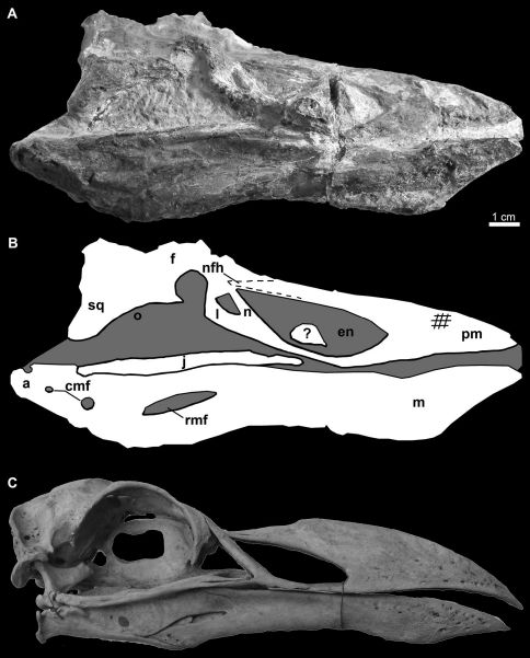 Figure 11.