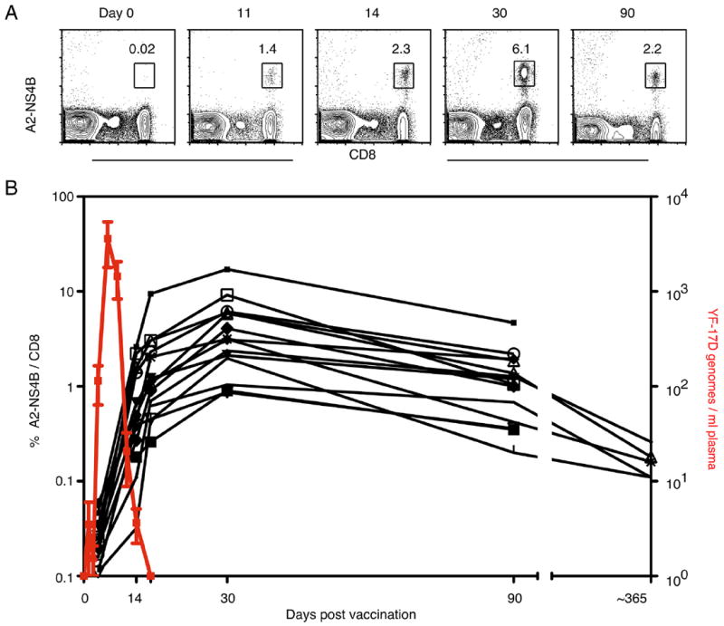 FIGURE 3