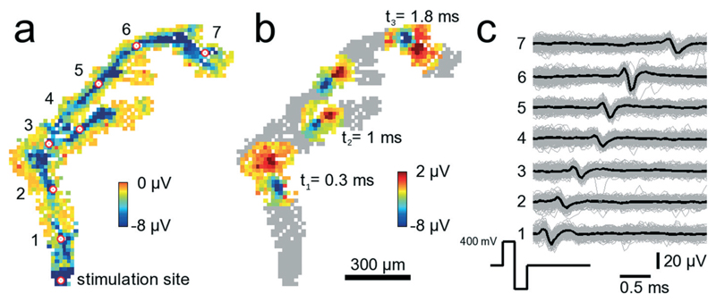 Fig. 7