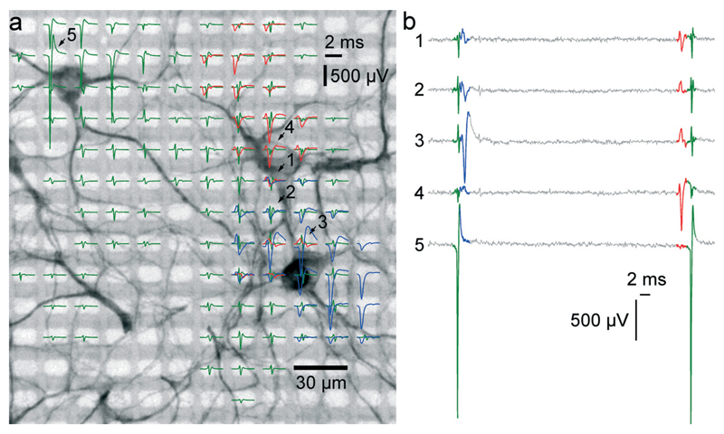 Fig. 4