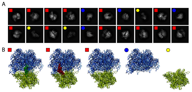 Figure 3. 