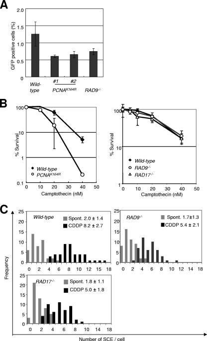 FIG. 6.