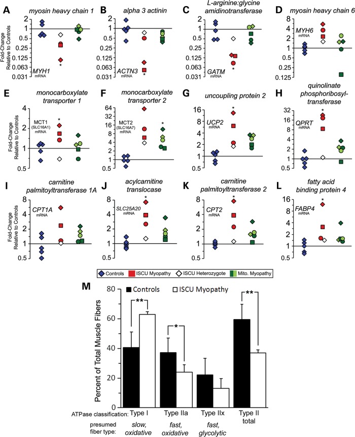 Figure 2.