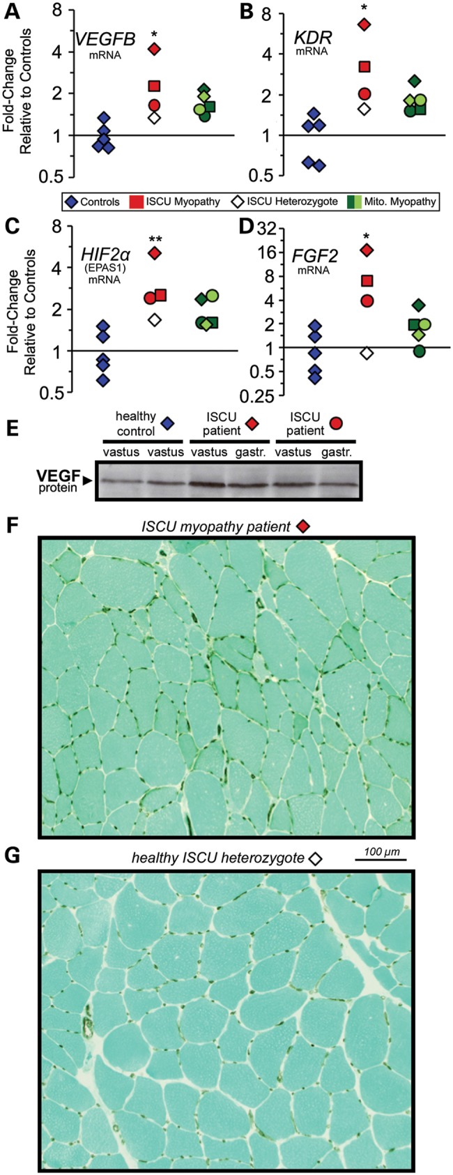 Figure 4.