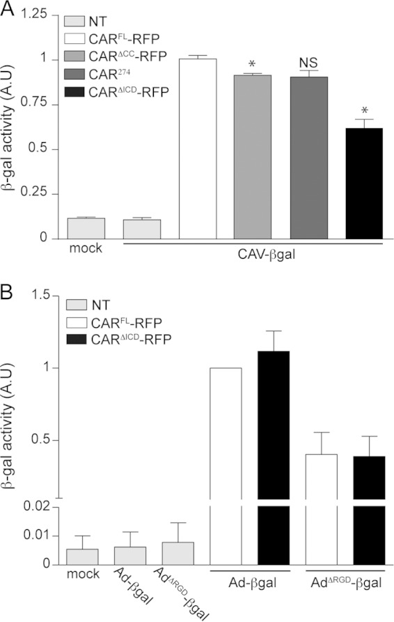 FIG 3