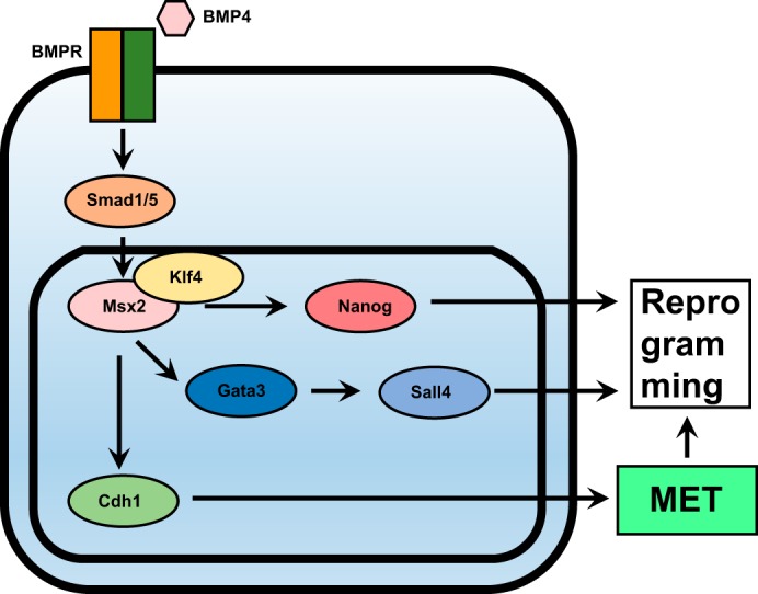 Figure 7.