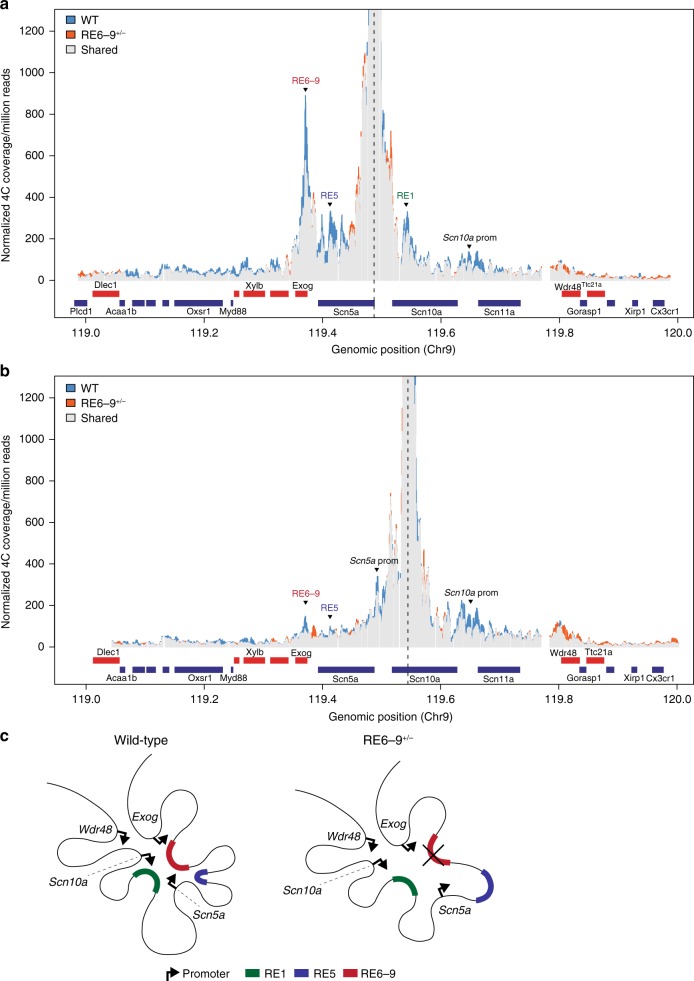 Fig. 3