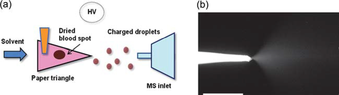 Fig. 4