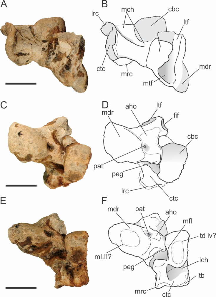 Figure 10