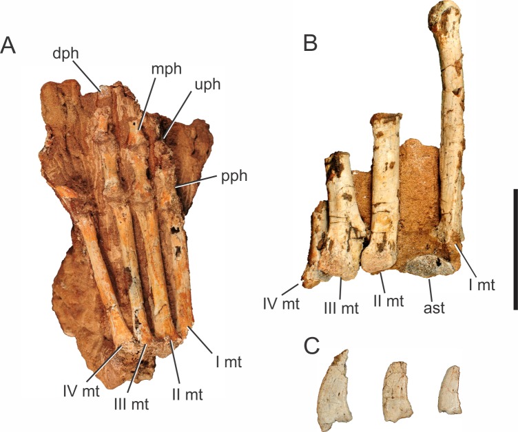 Figure 11