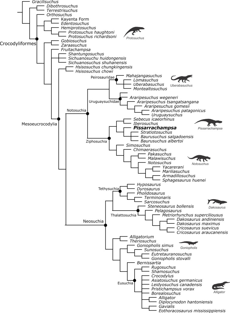 Figure 13