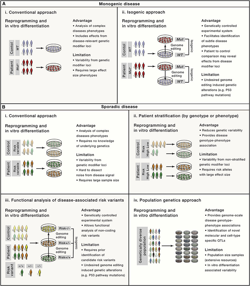 Figure 1: