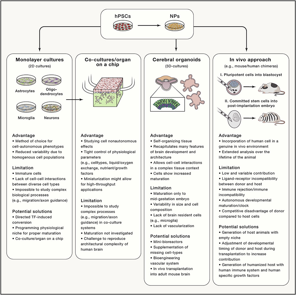 Figure 3: