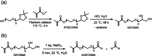 Scheme 2