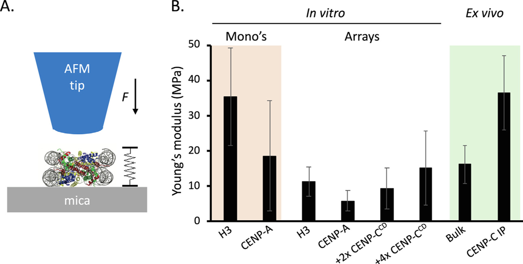 Figure 3.