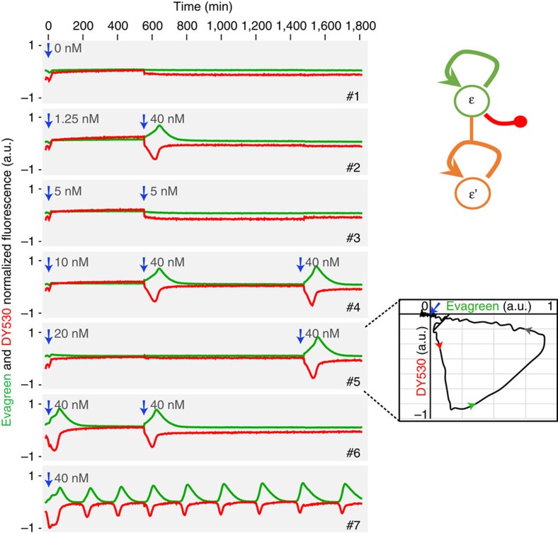 Figure 8