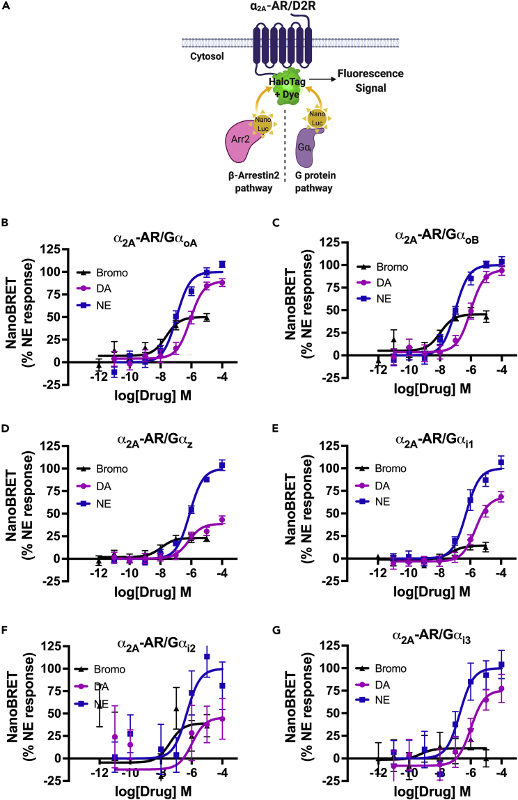 Figure 4