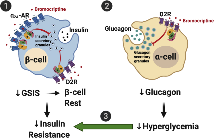 Figure 7