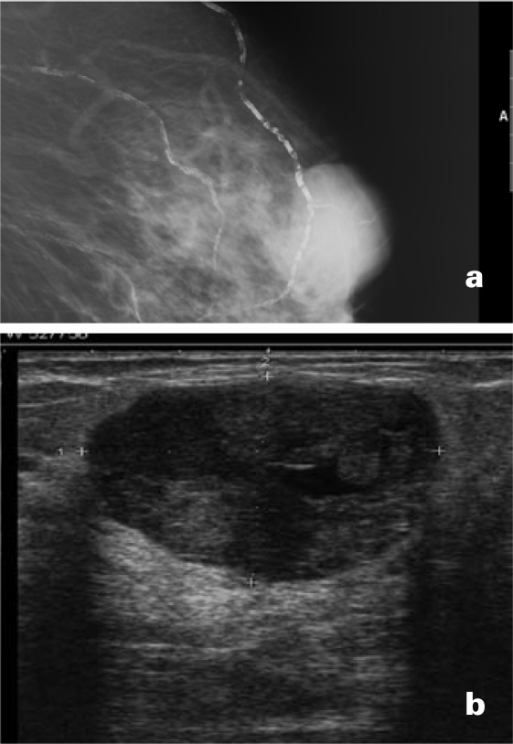 Fig. 9