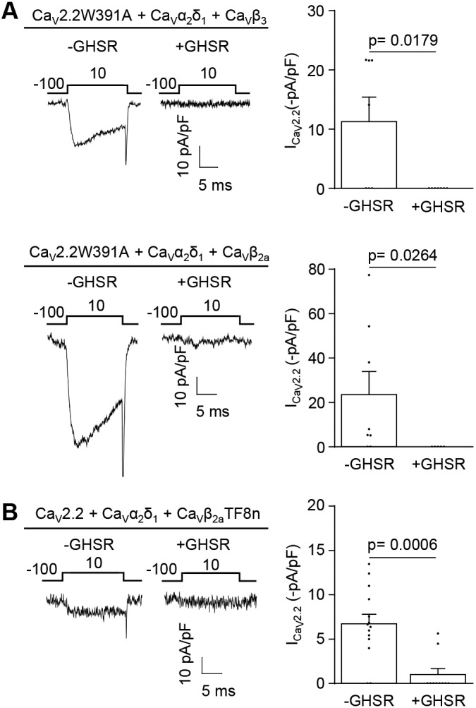 Fig. 8.