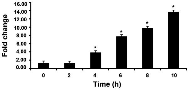 Figure 2.