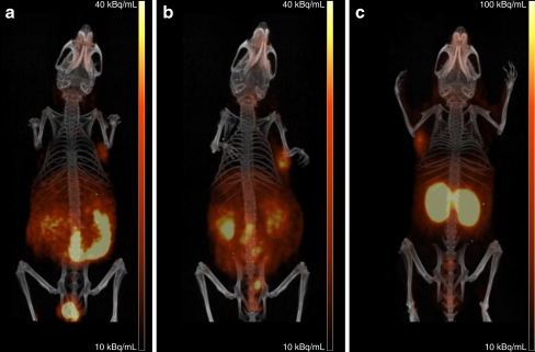 Fig. 4