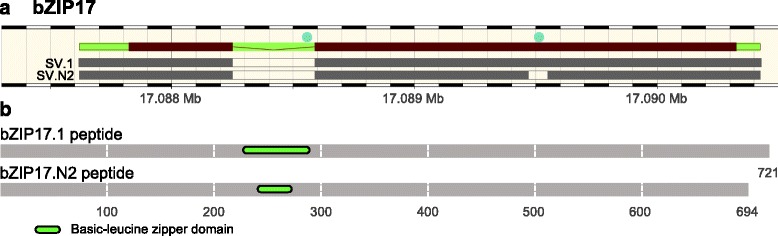 Fig. 8