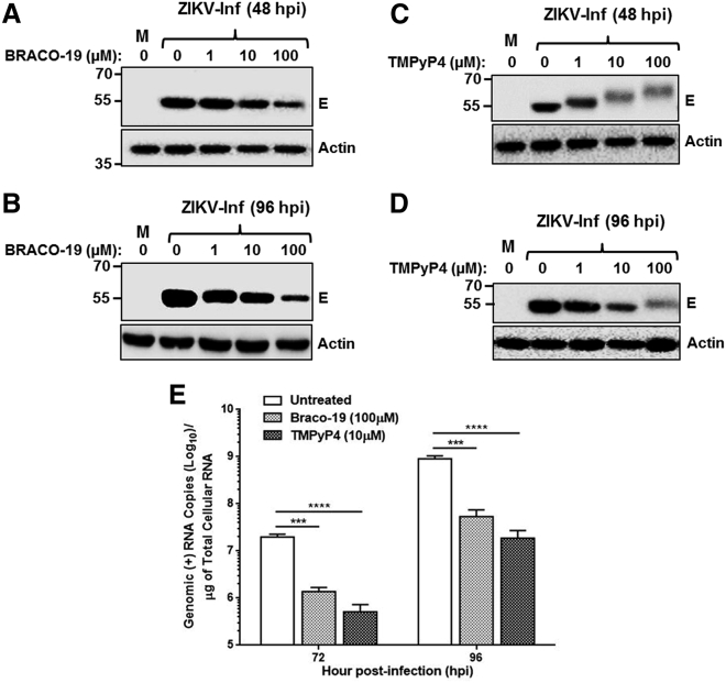 Figure 7