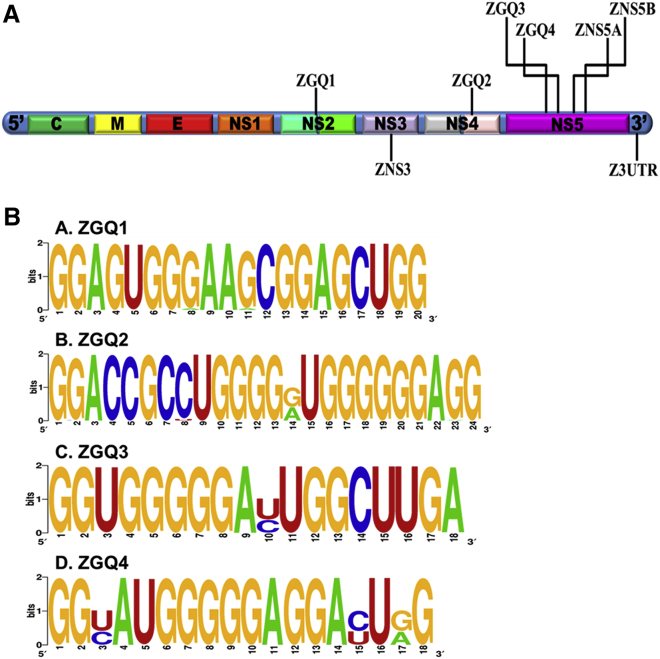 Figure 1