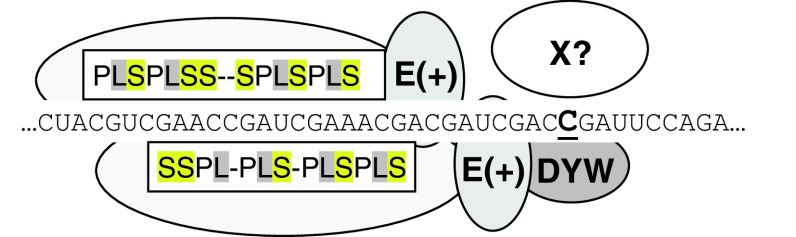 Fig. 4