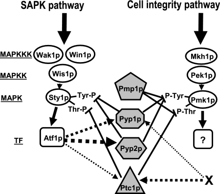 Figure 10.