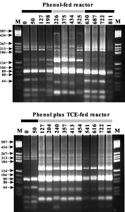 FIG. 7.